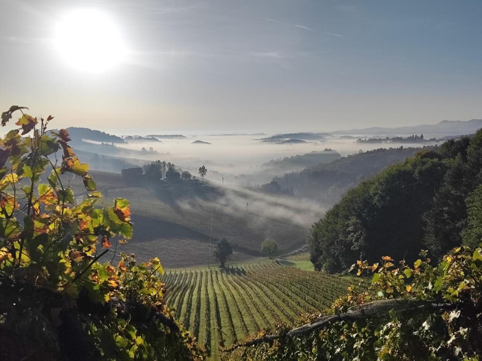 Bed and Breakfast Weingut Fellner Leutschach Exterior foto